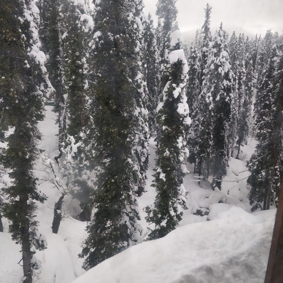 Meet your Posher, Avinash - Picture 1 of 1